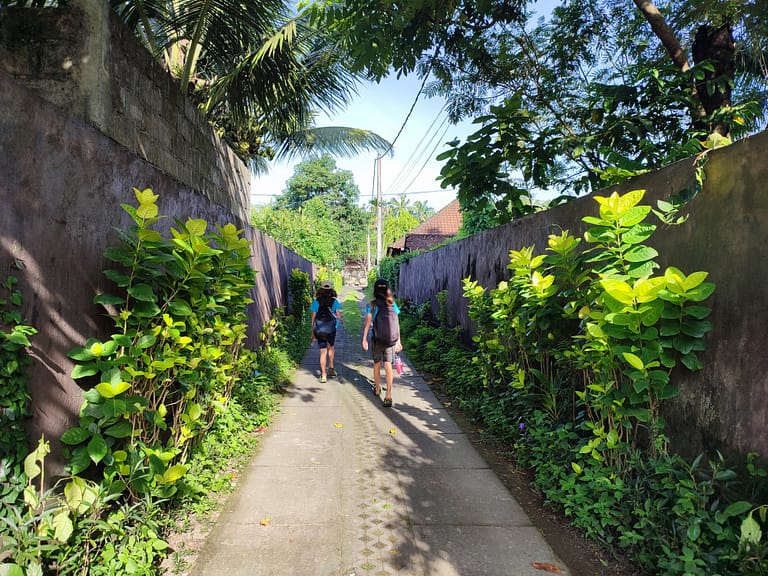 Two young boys in blue school uniform t shorts carrying backpacks and water bottles walk down a single track lane in Bali